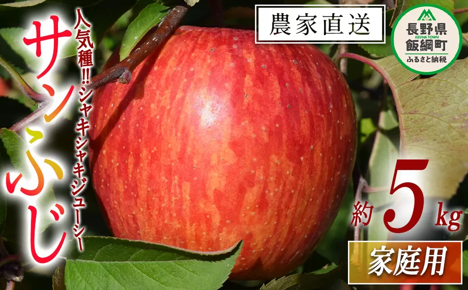 りんご サンふじ 家庭用 5kg マルカズりんご農園 沖縄県への配送不可 2025年11月下旬頃から2025年12月下旬頃まで順次発送予定 令和7年度収穫分 信州 果物 フルーツ リンゴ 林檎 長野 14000円 予約 農家直送 長野県 飯綱町 [0951]