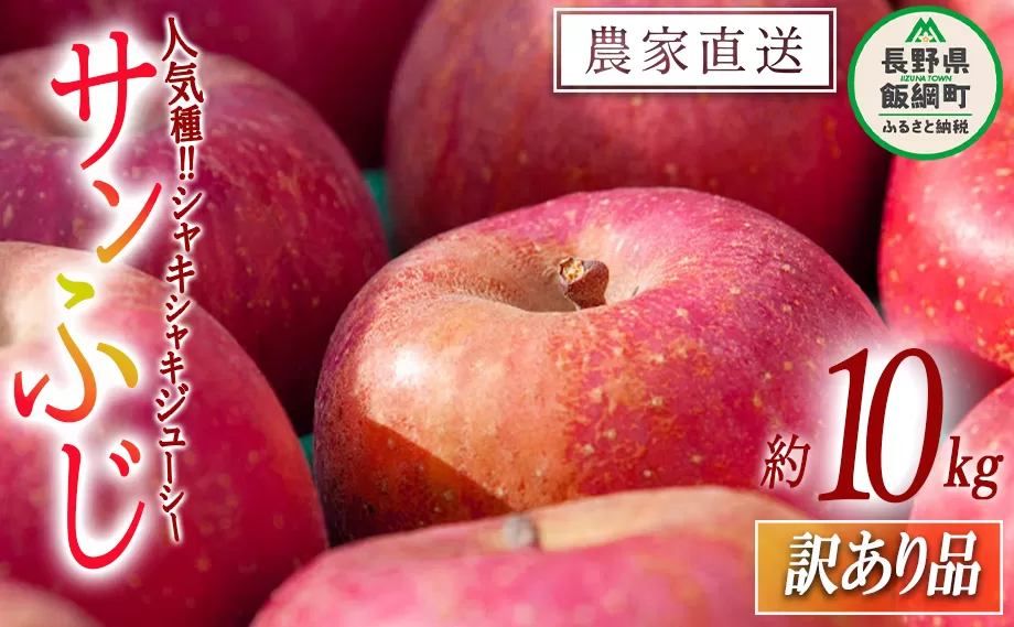 りんご サンふじ 訳あり 10kg マルカズりんご農園 沖縄県への配送不可 2025年11月下旬頃から2025年12月下旬頃まで順次発送予定 令和7年度収穫分 傷 不揃い リンゴ 林檎 果物 フルーツ 信州 長野 19000円 予約 農家直送 長野県 飯綱町 [1392]