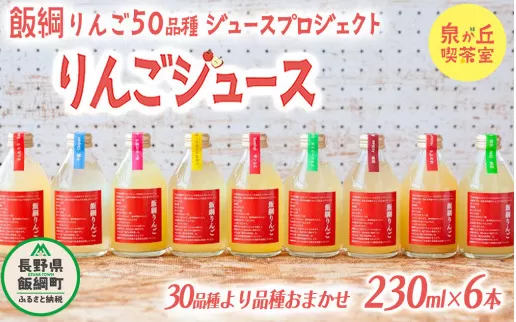 信州産 りんごジュース [ 品種おまかせ ] 230ml × 6本 「飯綱りんご50品種ジュースプロジェクト」 泉が丘喫茶室 沖縄県への配送不可 飲料 果汁飲料 りんご リンゴ 林檎 ジュース 信州 13500円 長野県 飯綱町 [1305]