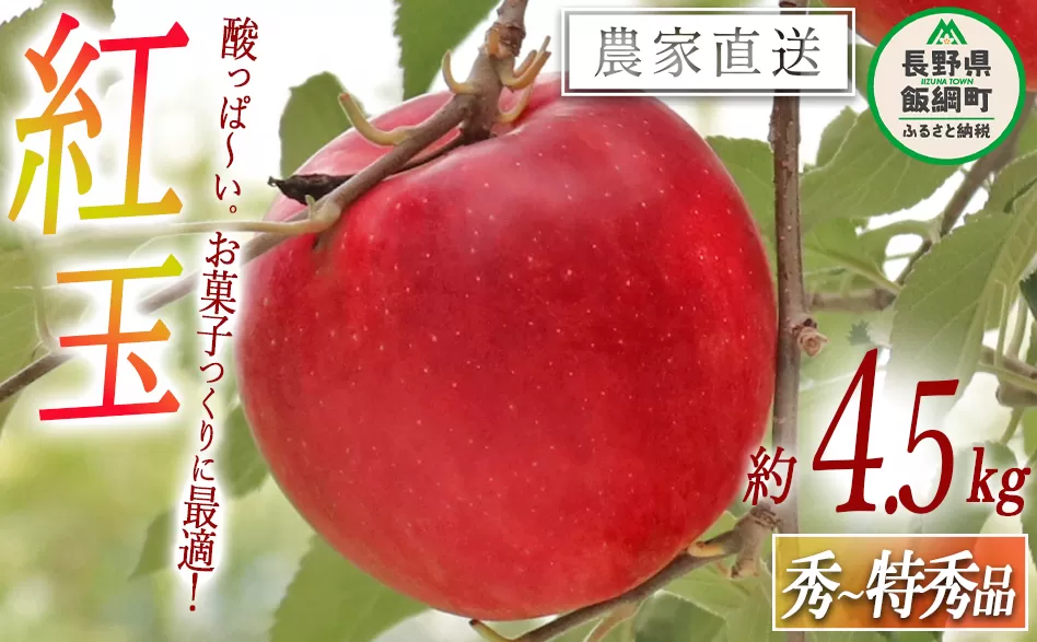 りんご 紅玉 秀 ～ 特秀 4.5kg （～23玉） ヒライ農園 沖縄県への配送不可 2025年10月上旬頃から2025年10月中旬頃まで順次発送予定 令和7年度収穫分 信州の環境にやさしい農産物認証 減農薬栽培 長野県 飯綱町 [0362]
