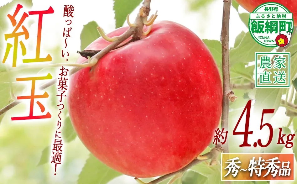 りんご 紅玉 秀 ～ 特秀 4.5kg （～23玉） ヒライ農園 沖縄県への配送不可 2026年10月上旬頃から2026年10月中旬頃まで順次発送予定 令和8年度収穫分 信州の環境にやさしい農産物認証 減農薬栽培 長野県 飯綱町 [0362]