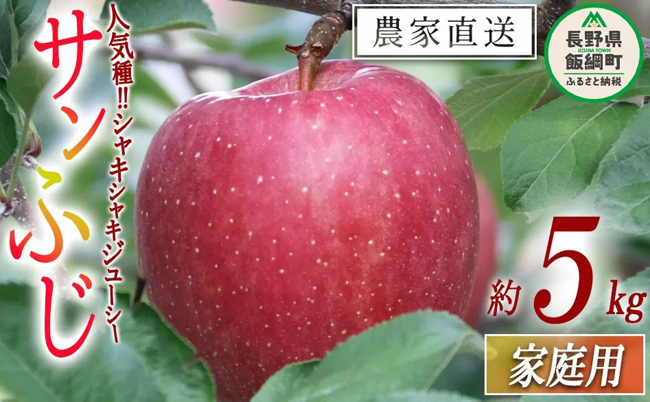 りんご サンふじ 家庭用 5kg ヒライ農園 沖縄県への配送不可 2025年12月上旬頃から2025年12月下旬頃まで順次発送予定 令和7年度収穫分 信州の環境にやさしい農産物認証 減農薬栽培 長野県 飯綱町 [0986]