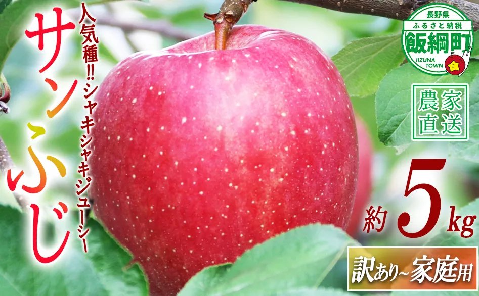 りんご サンふじ 訳あり 〜 家庭用 5kg ヒライ農園 沖縄県への配送不可 2026年12月上旬頃から2026年12月下旬頃まで順次発送予定 令和8年度収穫分 信州の環境にやさしい農産物認証 減農薬栽培 長野県 飯綱町 [0986]