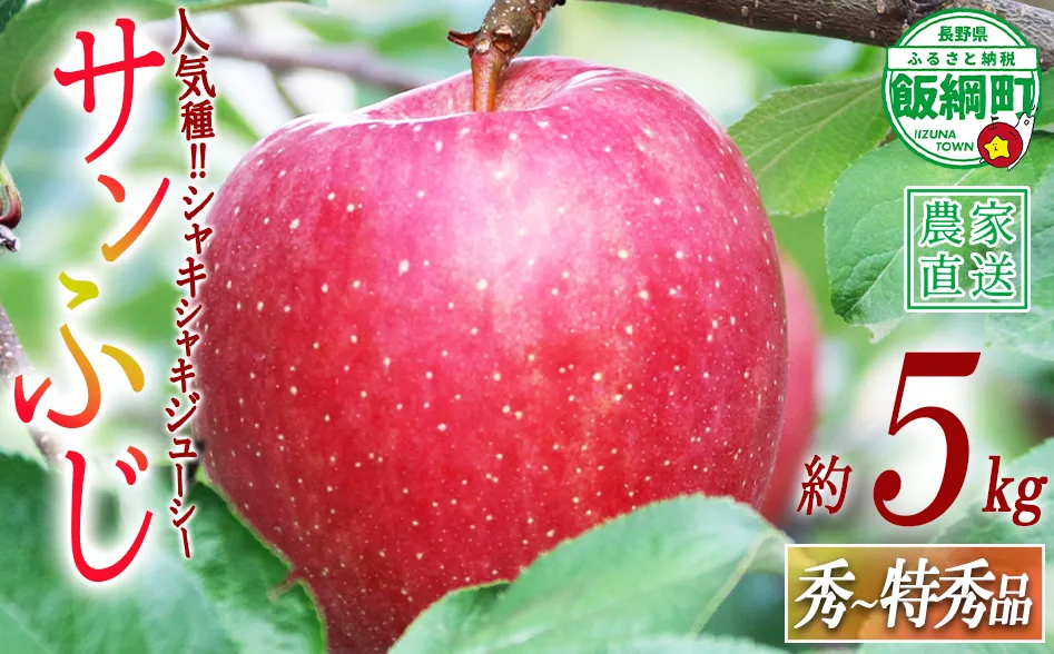 りんご サンふじ 秀 ～ 特秀 5kg ヒライ農園 沖縄県への配送不可 2026年12月上旬頃から2026年12月中旬頃まで順次発送予定 令和8年度収穫分 信州の環境にやさしい農産物認証 減農薬栽培 長野県 飯綱町 [0350]