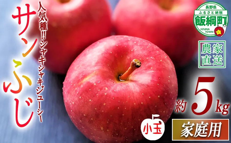 りんご サンふじ ( 小玉 ) 家庭用 5kg ヒライ農園 沖縄県への配送不可 2026年12月上旬頃から2026年12月下旬頃まで順次発送予定 令和8年度収穫分 信州の環境にやさしい農産物認証 減農薬栽培 長野県 飯綱町 [0700]