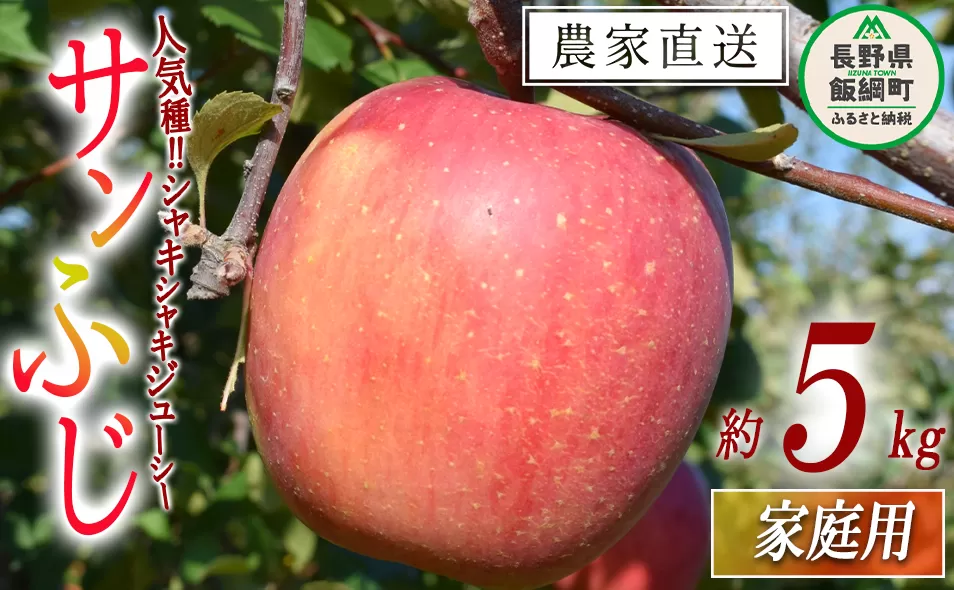 りんご サンふじ 家庭用 5kg 山岸ファーム 沖縄県への配送不可 2025年12月上旬頃から2025年12月下旬頃まで順次発送予定 令和7年度収穫分 信州 果物 フルーツ リンゴ 林檎 長野 13500円 予約 農家直送 長野県 飯綱町 [1153]