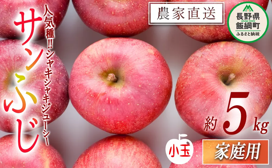 りんご サンふじ 家庭用 ( 小玉 ) 5kg 山岸ファーム 沖縄県への配送不可 2025年12月上旬頃から2025年12月下旬頃まで順次発送予定 令和7年度収穫分 信州 果物 フルーツ リンゴ 林檎 長野 11000円 予約 農家直送 長野県 飯綱町 [1155]