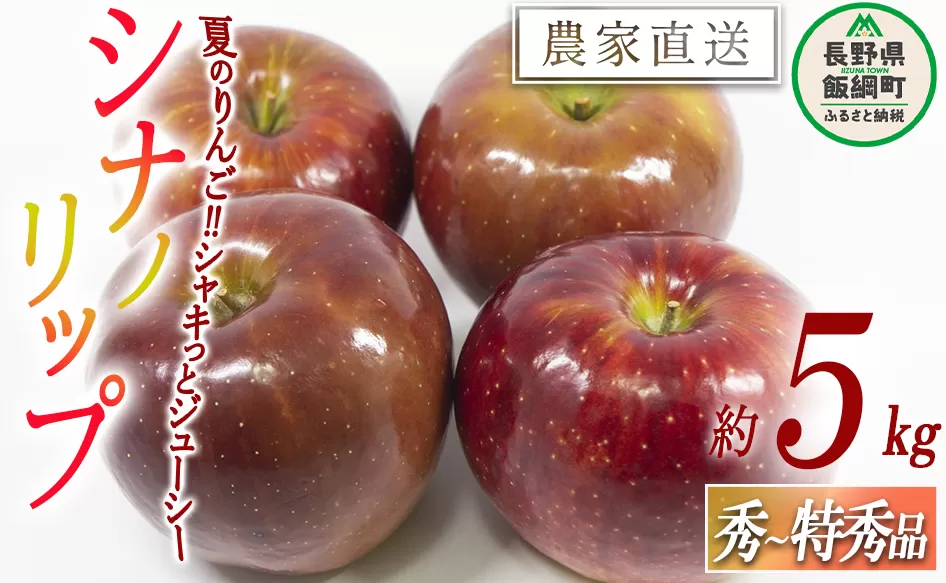 りんご シナノリップ 秀 ～ 特秀 5kg 渡辺農園 沖縄県への配送不可 2025年8月中旬頃から2025年8月下旬頃まで順次発送予定 令和7年度収穫分 エコファーマー認定 減農薬栽培 長野県 飯綱町 [1019]