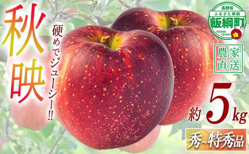りんご 秋映 秀 ～ 特秀 5kg 渡辺農園 沖縄県への配送不可 2026年10月上旬頃から2026年10月中旬頃まで順次発送予定 令和8年度収穫分 エコファーマー認定 減農薬栽培 長野県 飯綱町 [0363]