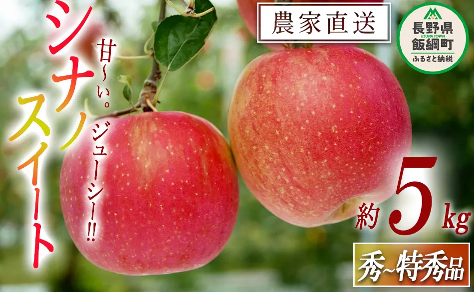 りんご シナノスイート 秀 ～ 特秀 5kg 渡辺農園 沖縄県への配送不可 2025年10月中旬頃から2025年11月上旬頃まで順次発送予定 令和7年度収穫分 エコファーマー認定 減農薬栽培 長野県 飯綱町 [0171]