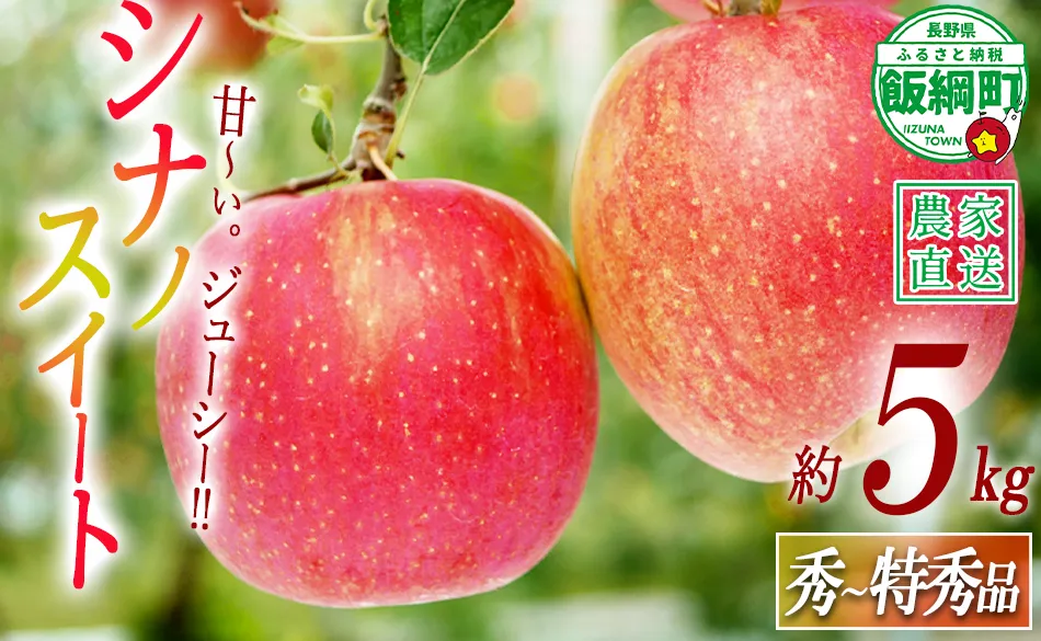 りんご シナノスイート 秀 ～ 特秀 5kg 渡辺農園 沖縄県への配送不可 2026年10月中旬頃から2026年10月下旬頃まで順次発送予定 令和8年度収穫分 エコファーマー認定 減農薬栽培 長野県 飯綱町 [0171]