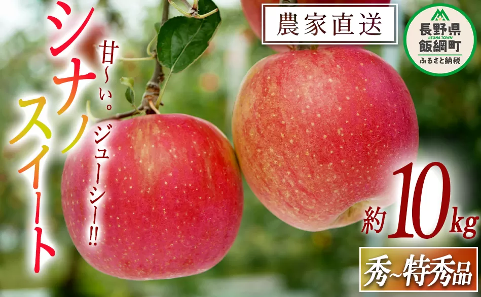 りんご シナノスイート 秀 ～ 特秀 10kg 渡辺農園 2025年10月中旬頃から2025年11月上旬頃まで順次発送予定 令和7年度収穫分 エコファーマー認定 減農薬栽培 長野県 飯綱町 [0172]