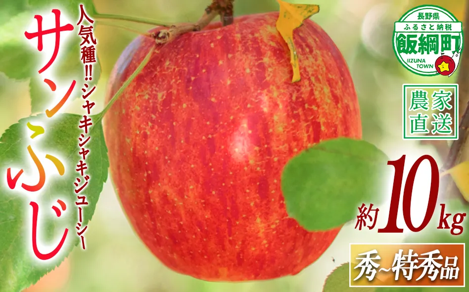 りんご サンふじ 秀 ～ 特秀 10kg 渡辺農園 2026年12月上旬頃から2027年1月中旬頃まで順次発送予定 令和8年度収穫分 エコファーマー認定 減農薬栽培 長野県 飯綱町 [0170]