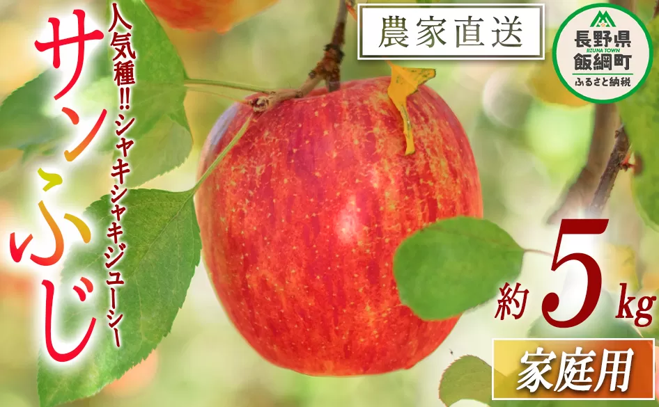 りんご サンふじ 家庭用 5kg 渡辺農園 沖縄県への配送不可 2025年12月上旬頃から2026年1月中旬頃まで順次発送予定 令和7年度収穫分 エコファーマー認定 減農薬栽培 長野県 飯綱町 [1023]