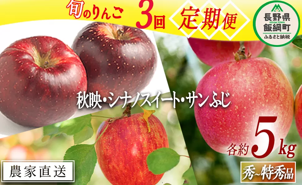 旬のりんご 【 定期便 】 秀 ～ 特秀 5kg × 3回 渡辺農園 沖縄県への配送不可 2025年10月上旬頃から2025年12月中旬頃まで順次発送予定 令和7年度収穫分 エコファーマー認定 減農薬栽培 長野県 飯綱町 [0805]