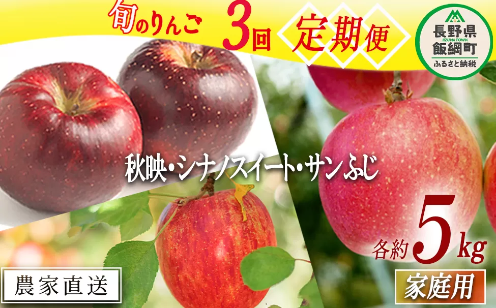 旬のりんご 【 定期便 】 家庭用 5kg × 3回 渡辺農園 沖縄県への配送不可 2025年10月上旬頃から2025年12月中旬頃まで順次発送予定 令和7年度収穫分 エコファーマー認定 減農薬栽培 長野県 飯綱町 [1375]