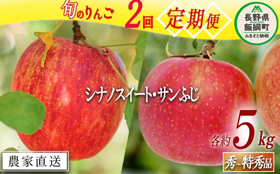 旬のりんご 【 定期便 】 秀 ～ 特秀 5kg × 2回 渡辺農園 沖縄県への配送不可 2025年10月中旬頃から2025年12月中旬頃まで順次発送予定 令和7年度収穫分 エコファーマー認定 減農薬栽培 長野県 飯綱町 [1147]