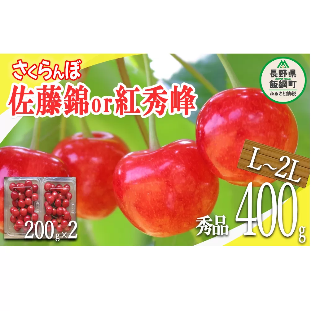 さくらんぼ ＜L～2Lサイズ＞ 秀品 200g × 2パック （佐藤錦または紅秀峰） 配送先は本州限定 2024年6月中旬～2024年7月中旬まで順次発送予定 長野県 飯綱町 [0779]