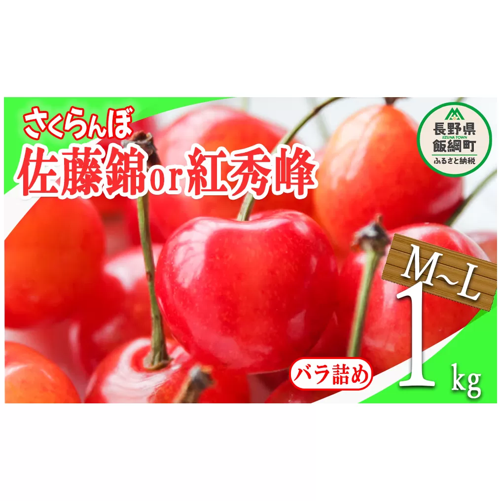 さくらんぼ ＜ M ～ L サイズ ＞ 秀品 1kg バラ詰め （ 佐藤錦 または 紅秀峰 ） 配送先は本州限定 2024年6月中旬～2024年7月中旬まで順次発送予定 長野県 飯綱町 [0781]