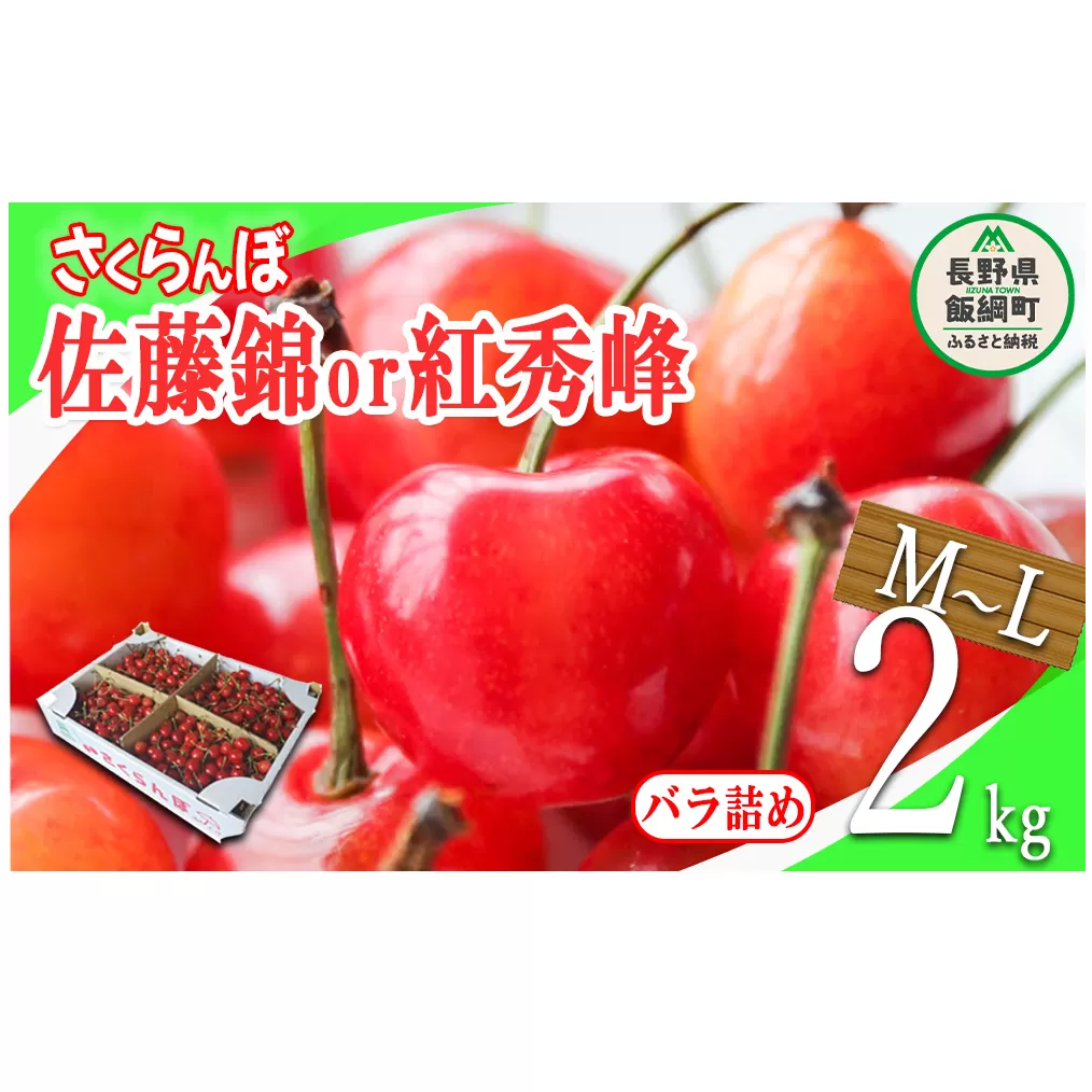 さくらんぼ ＜ M ～ L サイズ ＞ 秀品 2kg バラ詰め （ 佐藤錦 または 紅秀峰 ） 配送先は本州限定 2024年6月中旬～2024年7月中旬まで順次発送予定 長野県 飯綱町 [0782]