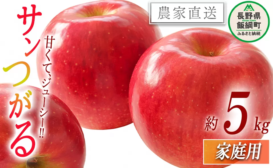 りんご サンつがる 家庭用 5kg 関農園 沖縄県への配送不可 2025年8月下旬頃から2025年9月上旬頃まで順次発送予定 エコファーマー認定 令和7年度収穫分 信州 果物 フルーツ リンゴ 林檎 長野 11500円 予約 農家直送 長野県 飯綱町 [1087]