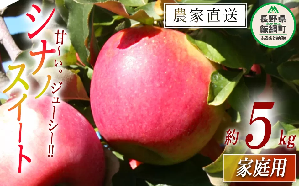 りんご シナノスイート 家庭用 5kg 関農園 沖縄県への配送不可 2025年10月上旬頃から2025年10月下旬頃まで順次発送予定 エコファーマー認定 令和7年度収穫分 信州 果物 フルーツ リンゴ 林檎 長野 12500円 予約 農家直送 長野県 飯綱町 [1090]