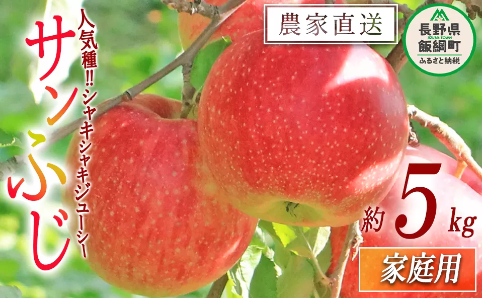 りんご サンふじ 家庭用 5kg 関農園 沖縄県への配送不可 2025年12月上旬頃から2025年12月下旬頃まで順次発送予定 エコファーマー認定 令和7年度収穫分 信州 果物 フルーツ リンゴ 林檎 長野 13000円 予約 農家直送 長野県 飯綱町 [1093]