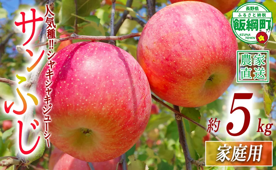 りんご サンふじ 家庭用 5kg 関農園 沖縄県への配送不可 2026年12月上旬頃から2026年12月下旬頃まで順次発送予定 エコファーマー認定 令和8年度収穫分 信州 果物 フルーツ リンゴ 林檎 長野 予約 農家直送 長野県 飯綱町 [1093]
