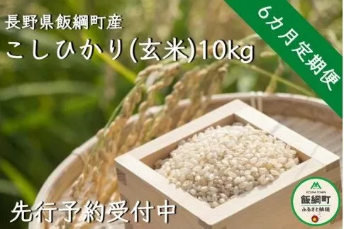 【令和6年度収穫分】信州飯綱町産　こしひかり（玄米）10kg×6回【6カ月定期便】 ※沖縄および離島への配送不可　※2024年10月上旬頃から順次発送予定　米澤商店[1371]