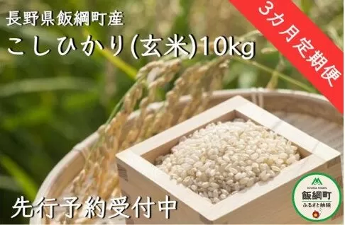 【令和6年度収穫分】信州飯綱町産　こしひかり（玄米）10kg×3回【3カ月定期便】 ※沖縄および離島への配送不可　※2024年10月上旬頃から順次発送予定　米澤商店[1370]