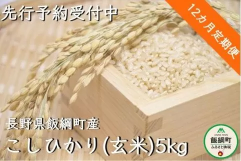 【令和6年度収穫分】信州飯綱町産　こしひかり（玄米）5kg×12回【12カ月定期便】 ※沖縄および離島への配送不可　※2024年10月上旬頃から順次発送予定　米澤商店[1368]