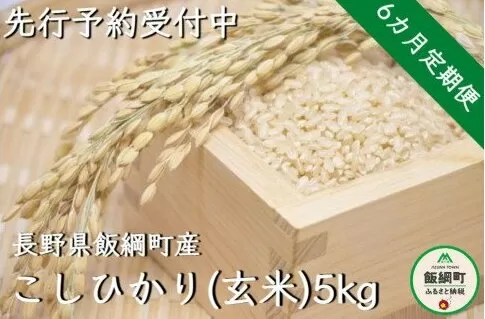 【令和6年度収穫分】信州飯綱町産　こしひかり（玄米）5kg×6回【6カ月定期便】 ※沖縄および離島への配送不可　※2024年10月上旬頃から順次発送予定　米澤商店[1367]