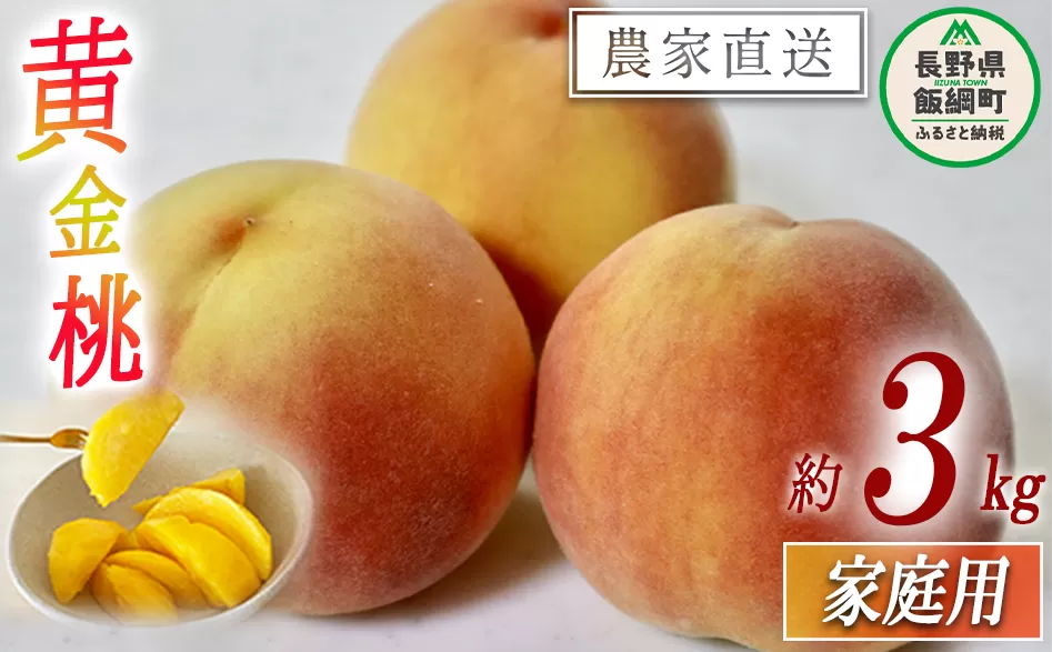 もも 黄金桃 ( 袋かけ無し ) 家庭用 3kg 松橋りんご園 配送先は本州限定 2026年8月中旬頃から2026年9月中旬頃まで順次発送予定 令和8年度収穫分 フルーツ 果物 モモ 桃 長野県 飯綱町 [1383]