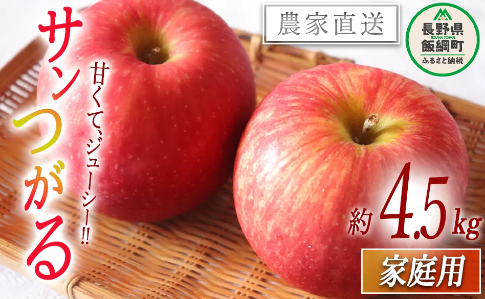りんご サンつがる 家庭用 4.5kg 松橋りんご園 沖縄県への配送不可 2025年9月上旬頃から2025年9月中旬頃まで順次発送予定 令和7年度収穫分 フルーツ リンゴ 信州 長野県 飯綱町 [0823]