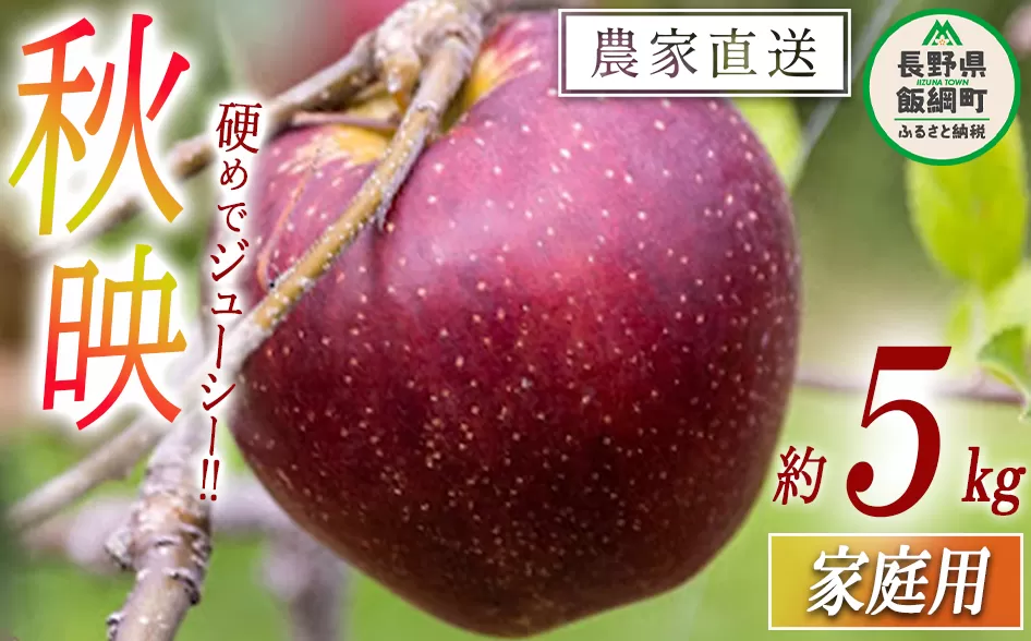 りんご 秋映 家庭用 5kg 松橋りんご園 沖縄県への配送不可 2025年10月上旬頃から2025年10月中旬頃まで順次発送予定 令和7年度収穫分 フルーツ リンゴ 信州 長野県 飯綱町 [0825]