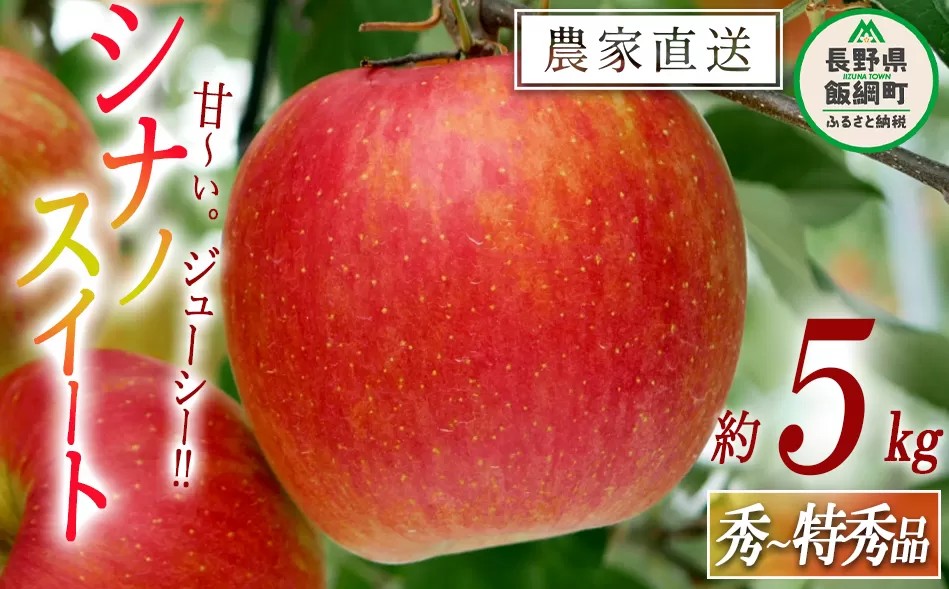 りんご シナノスイート 秀 ～ 特秀 5kg 松橋りんご園 沖縄県への配送不可 2025年10月上旬頃から2025年11月上旬頃まで順次発送予定 令和7年度収穫分 フルーツ リンゴ 信州 長野県 飯綱町 [0129]