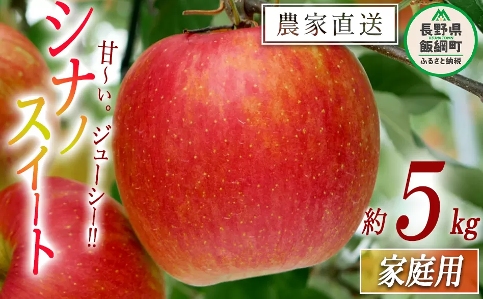 りんご シナノスイート 家庭用 5kg 松橋りんご園 沖縄県への配送不可 2026年10月上旬頃から2026年11月上旬頃まで順次発送予定 令和8年度収穫分 フルーツ リンゴ 信州 長野県 飯綱町 [0826]