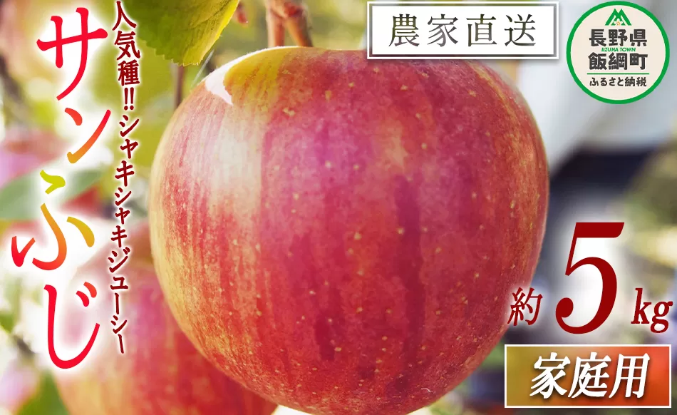 りんご サンふじ 家庭用 5kg 松橋りんご園 沖縄県への配送不可 2025年12月上旬頃から2026年3月上旬頃まで順次発送予定 令和7年度収穫分 フルーツ リンゴ 信州 長野県 飯綱町 [0829]