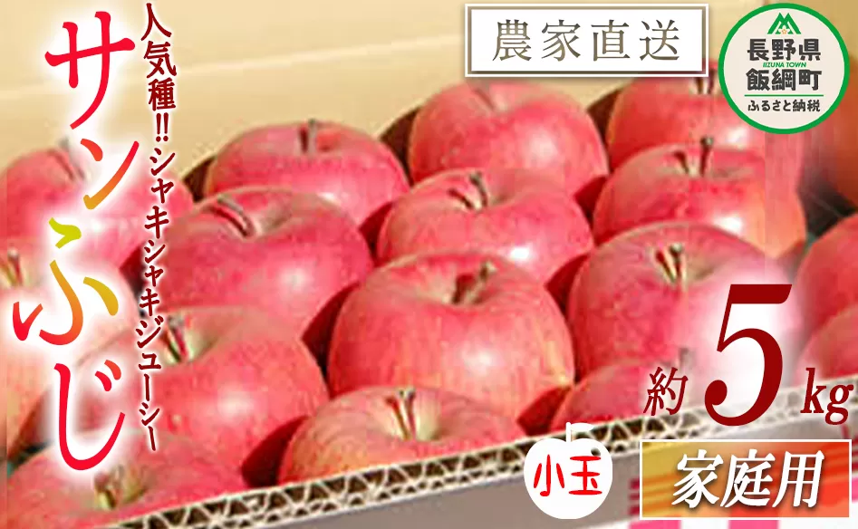 りんご サンふじ 家庭用 ( 小玉 ) 5kg 松橋りんご園 沖縄県への配送不可 2026年1月上旬頃から2026年3月上旬頃まで順次発送予定 令和7年度収穫分 フルーツ リンゴ 信州 長野県 飯綱町 [0629]