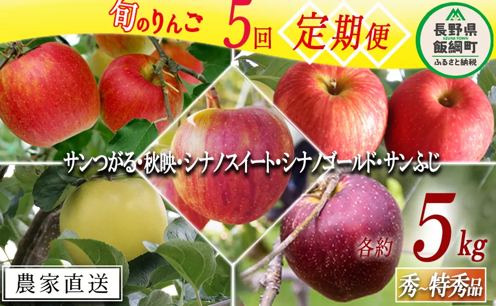 旬のりんご 【 定期便 】 秀 〜 特選 4.5kg 〜 5kg × 5回 松橋りんご園 沖縄県への配送不可 2026年9月上旬頃から2026年12月下旬頃まで順次発送予定 令和8年度収穫分 フルーツ リンゴ 信州 長野県 飯綱町 [0830]