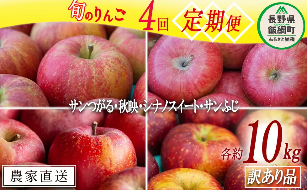 旬のりんご 【 定期便 】 訳あり 9kg～10kg × 4回 松橋りんご園 沖縄県への配送不可 2025年9月上旬頃から2025年12月下旬頃まで順次発送予定 令和7年度収穫分 フルーツ リンゴ 信州 長野県 飯綱町 [0832]