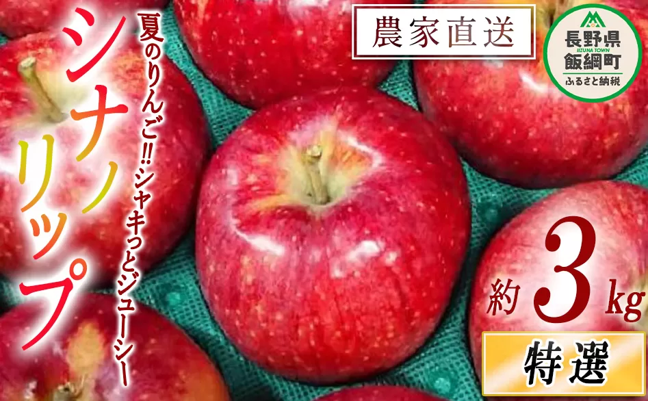 りんご シナノリップ 特選 3kg やまじゅうファーム 沖縄県への配送不可 2025年8月中旬頃から2025年8月下旬頃まで順次発送予定 令和7年度収穫分 信州の環境にやさしい農産物 減農薬栽培 長野県 飯綱町 [0850]