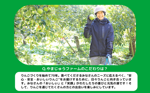 りんご ムーンルージュ 3kg やまじゅうファーム 沖縄県への配送 りんご ムーンルージュ 3kg やまじゅうファーム 沖縄県への配送