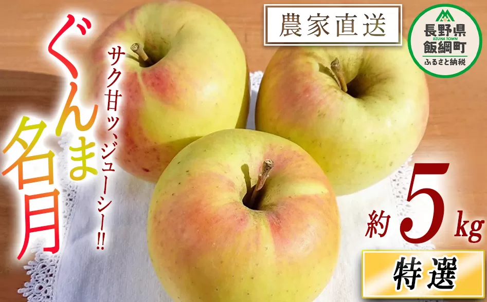 りんご ぐんま名月 特選 5kg やまじゅうファーム 沖縄県への配送不可 2025年11月下旬頃から2025年12月上旬頃まで順次発送予定 令和7年度収穫分 信州の環境にやさしい農産物 減農薬栽培 長野県 飯綱町 [0528]
