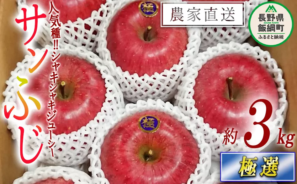 りんご サンふじ 極選 3kg やまじゅうファーム 沖縄県への配送不可 2025年12月上旬頃から2025年12月下旬頃まで順次発送予定 令和7年度収穫分 信州の環境にやさしい農産物 減農薬栽培 長野県 飯綱町 [0536]