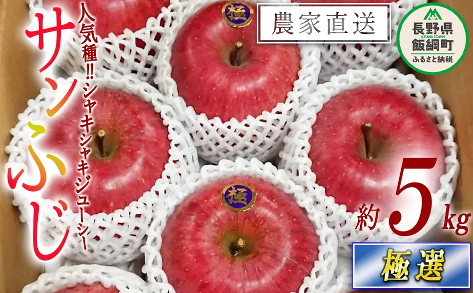 りんご サンふじ 極選 5kg やまじゅうファーム 2025年12月上旬頃から2025年12月下旬頃まで順次発送予定 令和7年度収穫分 信州の環境にやさしい農産物 減農薬栽培 長野県 飯綱町 [0537]