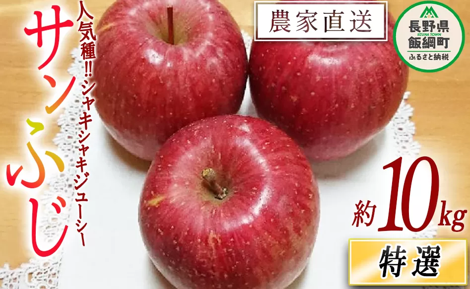 りんご サンふじ 特選 10kg やまじゅうファーム 2025年12月上旬頃から2025年12月中旬頃まで順次発送予定 令和7年度収穫分 信州の環境にやさしい農産物 減農薬栽培 長野県 飯綱町 [0535]