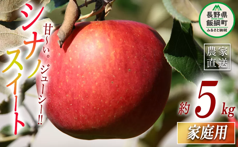 りんご シナノスイート 家庭用 5kg ヤマハチ農園 沖縄県への配送不可 2025年10月上旬頃から2025年11月上旬頃まで順次発送予定 令和7年度収穫分 BLOF理論栽培 信州 果物 フルーツ リンゴ 林檎 長野 13500円 予約 農家直送 長野県 飯綱町 [0657]