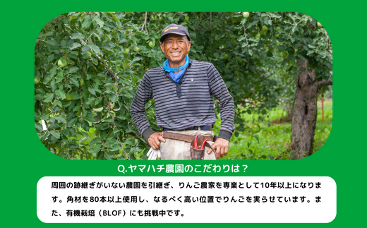 りんご シナノスイート 家庭用 5kg ヤマハチ農園 沖縄県への配送 りんご シナノスイート 家庭用 5kg ヤマハチ農園 沖縄県への配送