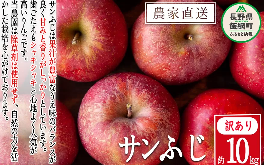 りんご サンふじ 訳あり 10kg 松澤農園 沖縄県への配送不可 2025年11月下旬頃から2026年2月下旬頃まで順次発送予定 令和7年度収穫分 長野県 飯綱町 [0503]